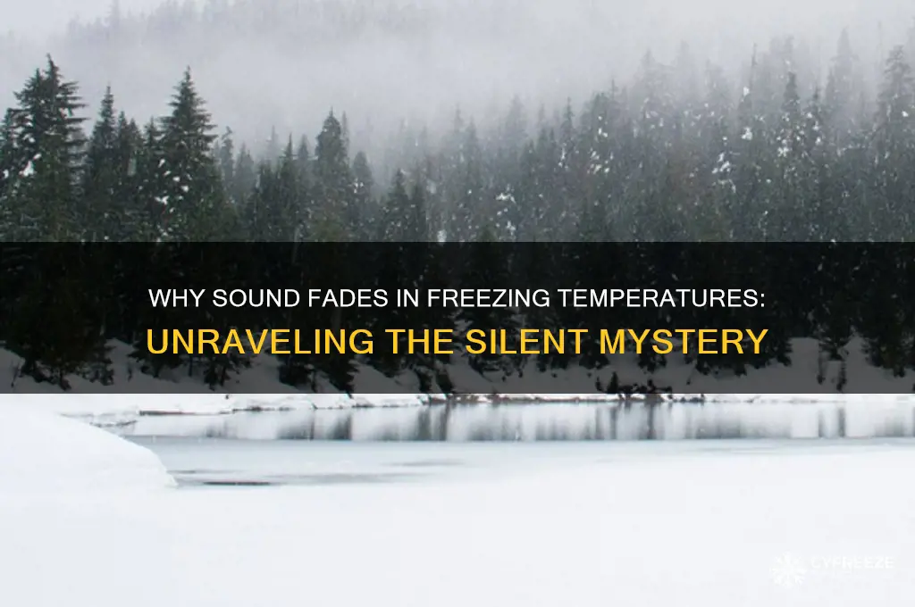 why sound doesn