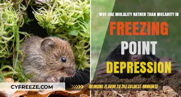 UAE Uses Molality Over Molarity for Freezing Point Depression: Why?