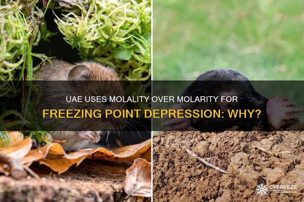 why uae molality rather than molarity in freezing point depression
