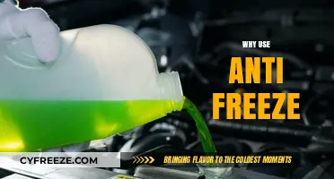 Why Use Antifreeze? Protecting Your Engine in Extreme Temperatures