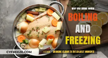 Brine Benefits: Enhancing Flavor and Texture in Boiling and Freezing