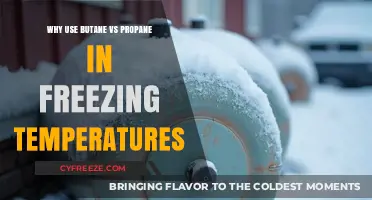 Butane vs Propane: Which Performs Better in Freezing Temperatures?