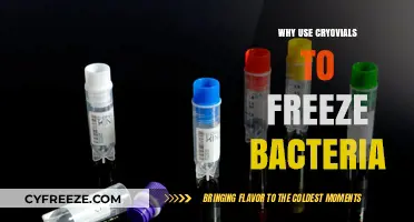 Cryovials for Bacteria: Preserving Microbial Life for Future Research
