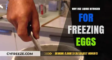 Liquid Nitrogen: The Ultimate Egg Freezing Solution for Preservation