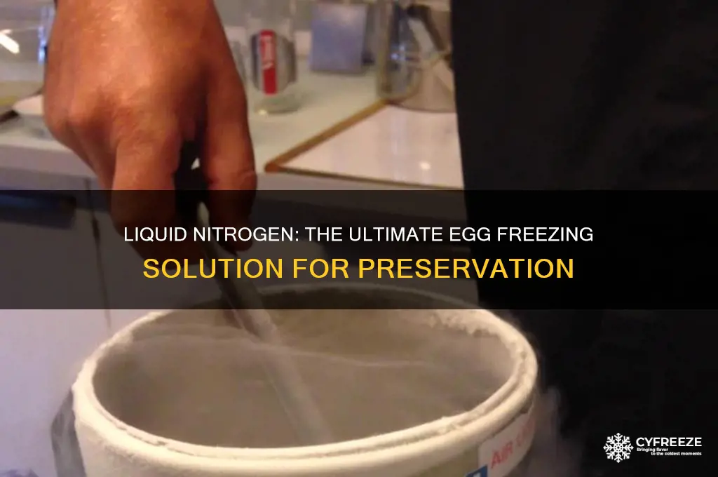 why use liquid nitrogen for freezing eggs