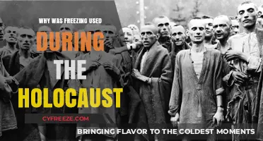 Freezing as a Tool of Torture: The Holocaust's Chilling Reality