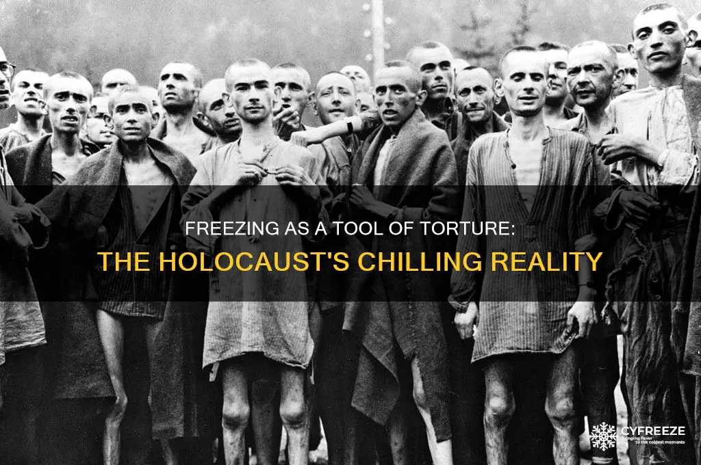 why was freezing used during the holocaust