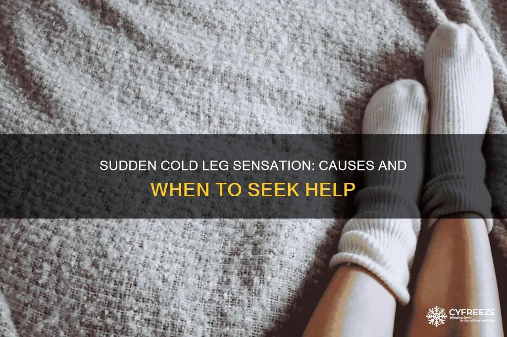 why would my leg suddenly get freezing cold