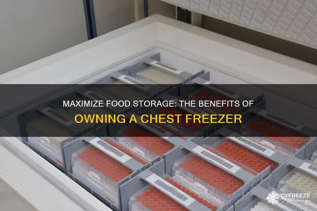 why you should get a chest freezer