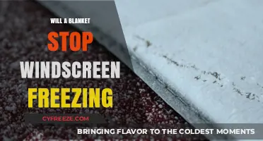 Preventing Windscreen Freeze: The Role of Blankets in Winter Car Care