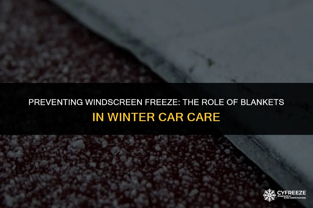 will a blanket stop windscreen freezing
