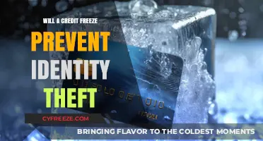 Safeguarding Your Identity: The Power of a Credit Freeze