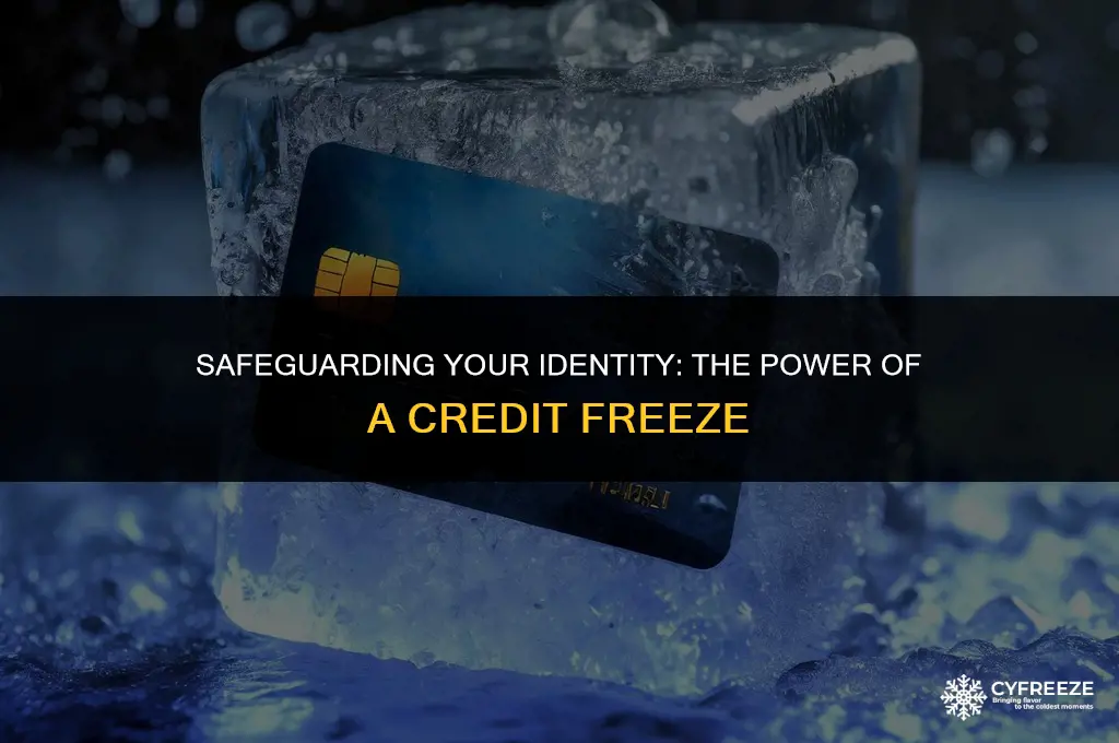 will a credit freeze prevent identity theft