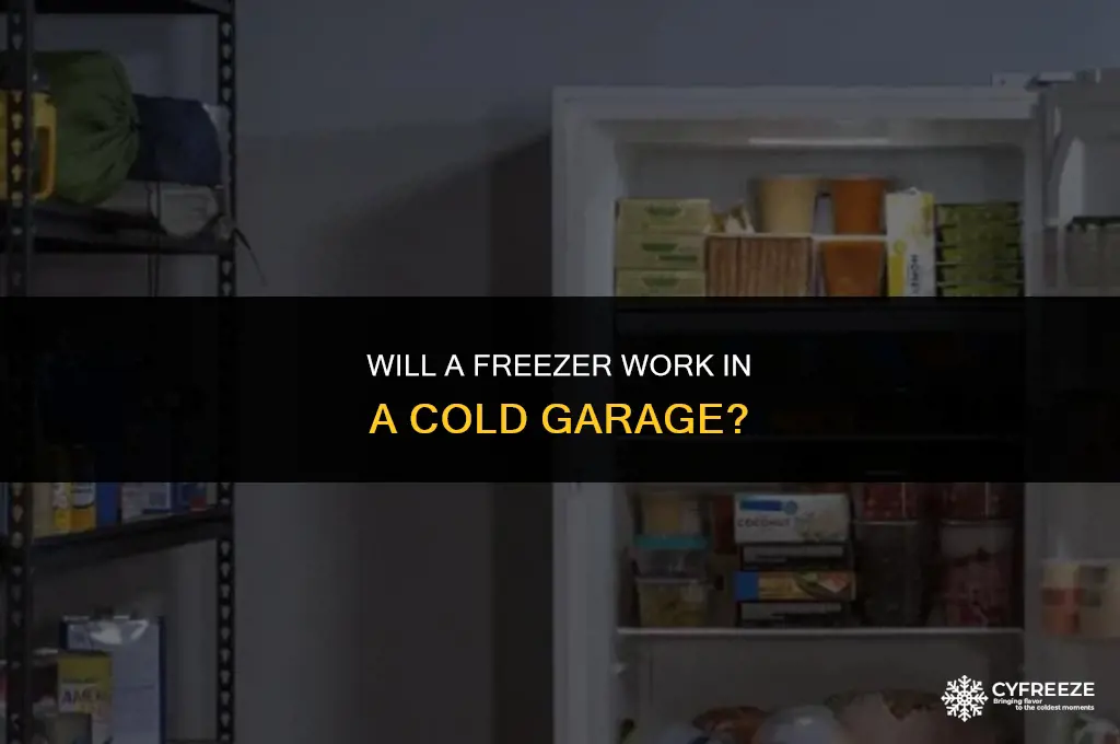 will a freezer work in a cold garage