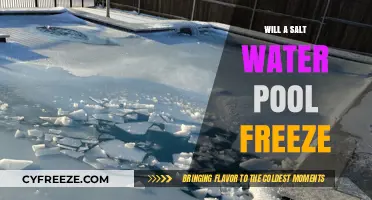 Will Your Saltwater Pool Freeze? Facts and Myths Debunked