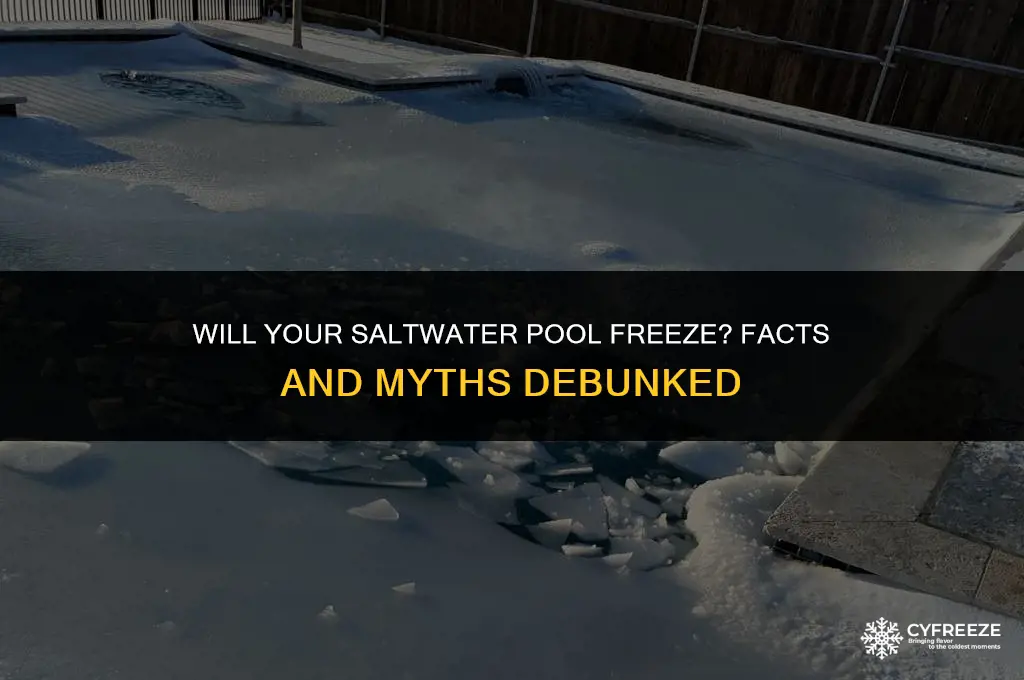 will a salt water pool freeze