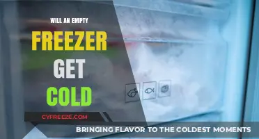 Chill or Not: The Mystery of an Empty Freezer's Temperature