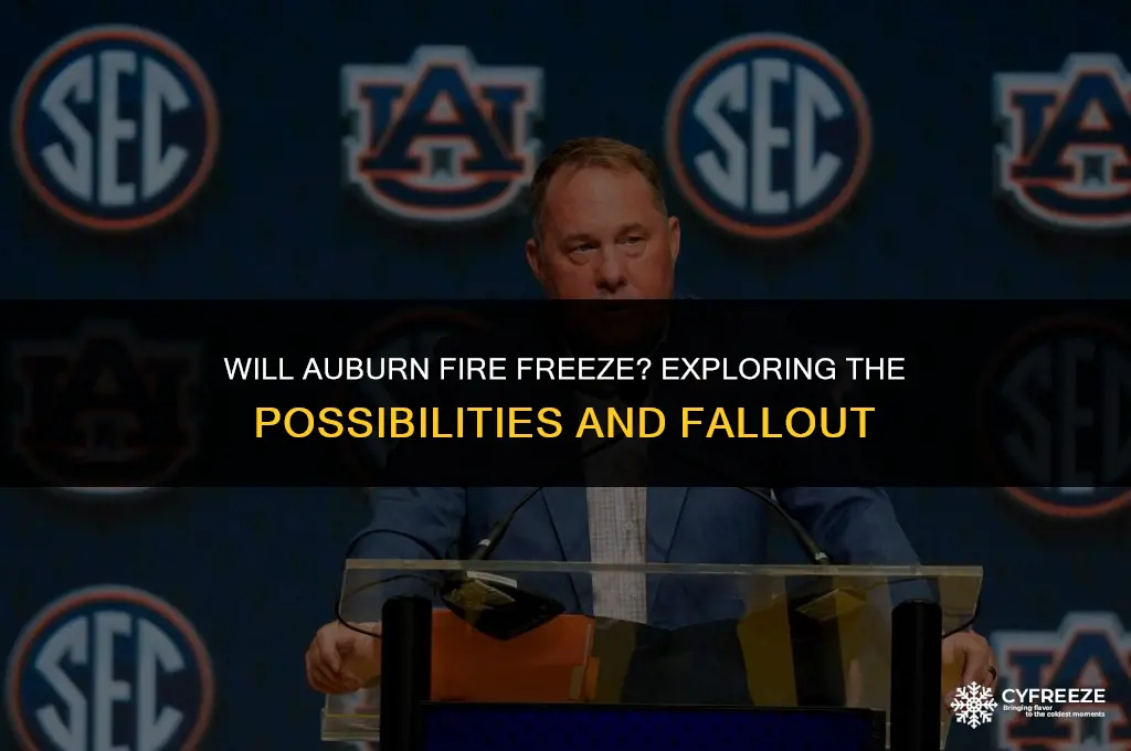 will auburn fire freeze