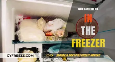 Chilling Truth: Can Freezing Temperatures Eliminate Bacteria?