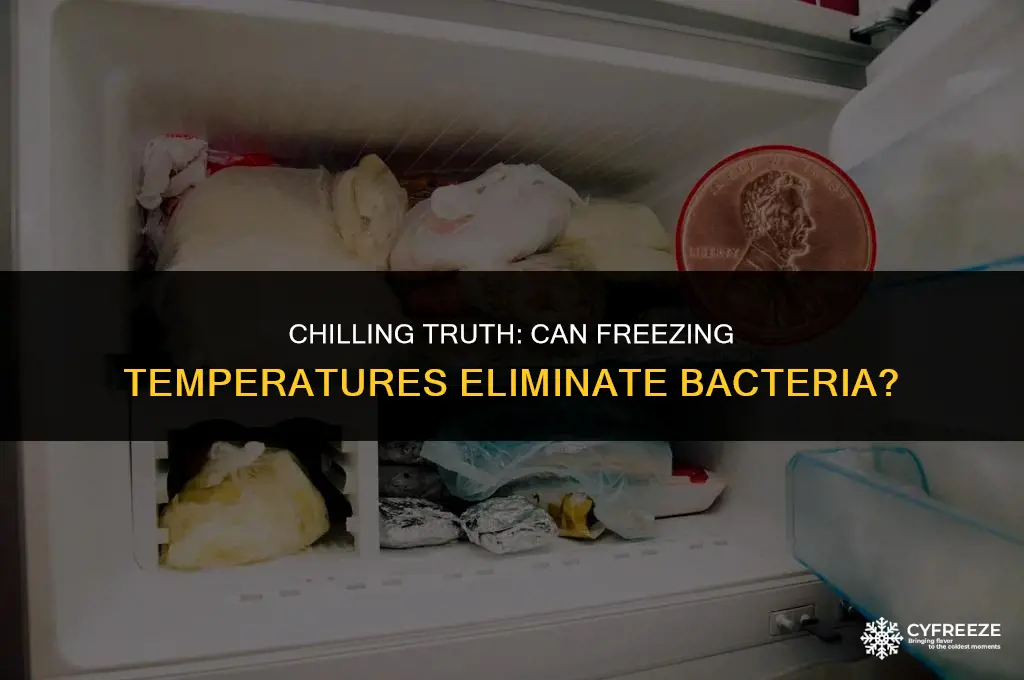 will bacteria die in the freezer