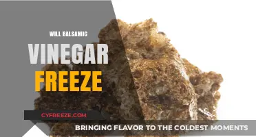 Exploring the Freezing Point: What Happens to Balsamic Vinegar in Cold Temps?