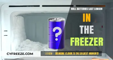 Chilling Batteries: The Truth About Freezer Storage and Longevity