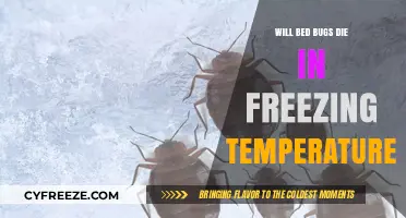 Chilling Truth: Can Freezing Temps Eliminate Bed Bugs?