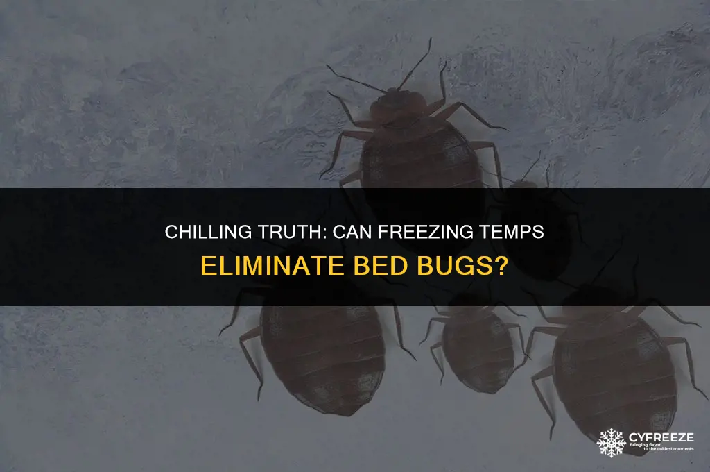 will bed bugs die in freezing temperatures