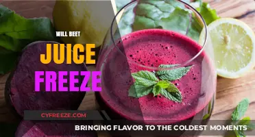 Exploring the Science: Can You Freeze Beet Juice?