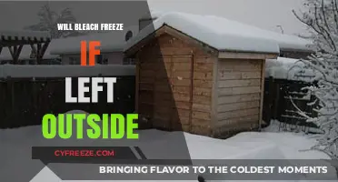 Will Bleach Freeze If Left Outside: A Comprehensive Guide