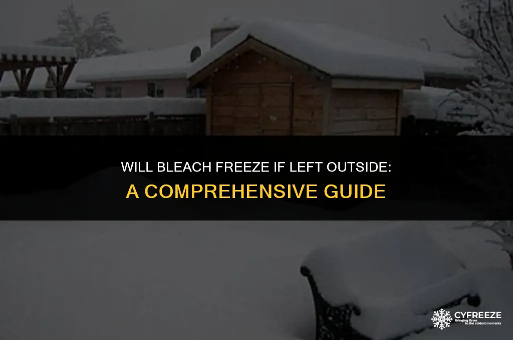will bleach freeze if left outside