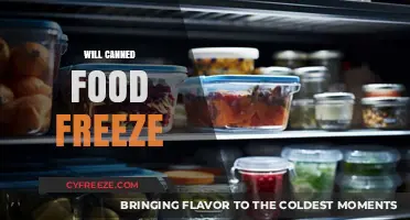 Exploring the Freezing Potential of Canned Goods: A Comprehensive Guide