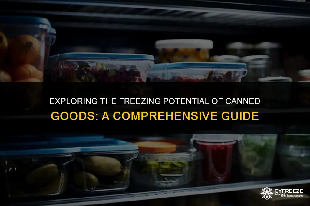 will canned food freeze