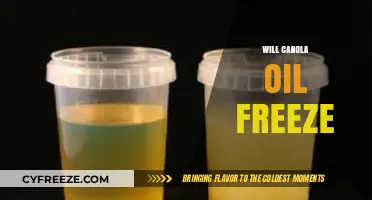 Will Canola Oil Freeze? Exploring Its Cold Storage Limits