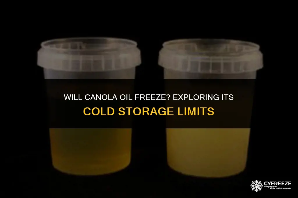will canola oil freeze