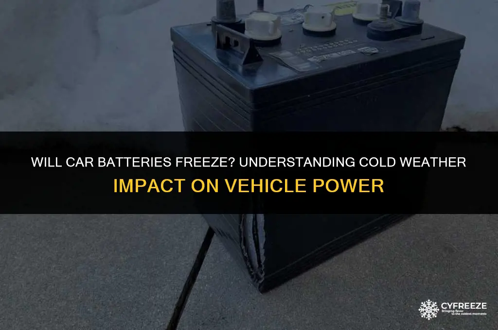 will car batteries freeze