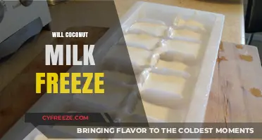 Chill or Not: The Coconut Milk Freezing Dilemma Explained