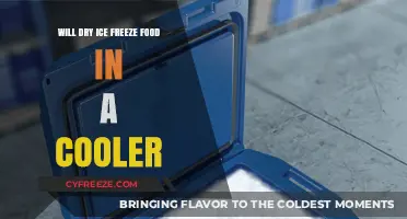 Cooling with Dry Ice: A Quick Freeze for Your Food?