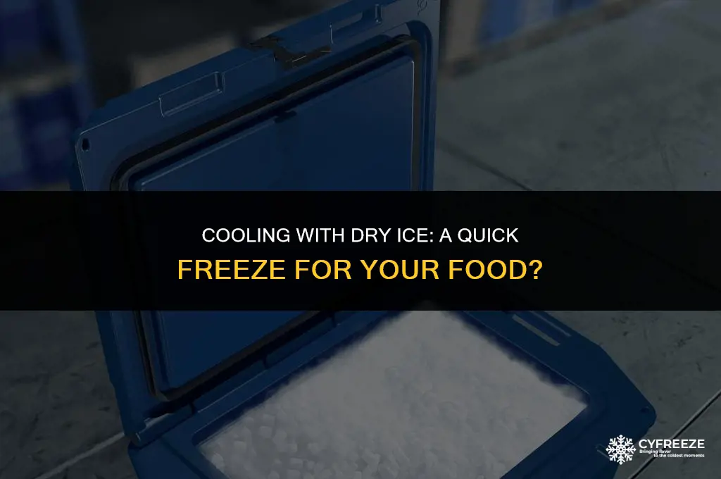 will dry ice freeze food in a cooler