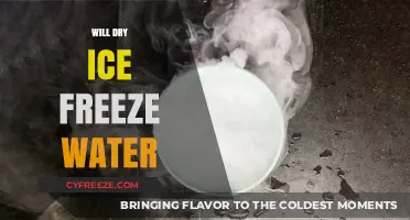 Exploring the Science: Can Dry Ice Freeze Water?