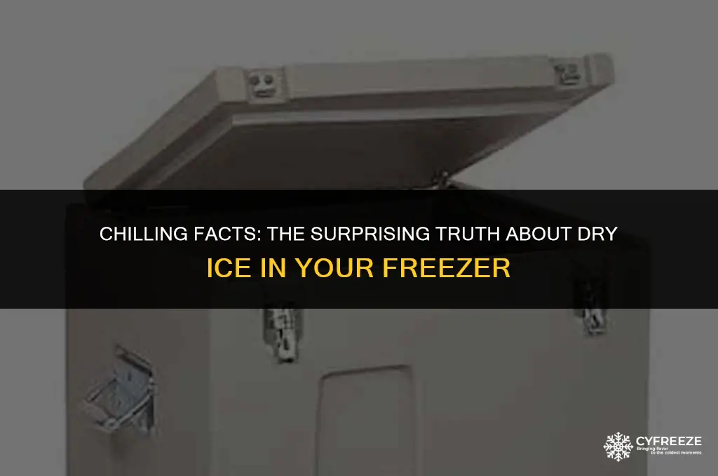 will dry ice keep in freezer