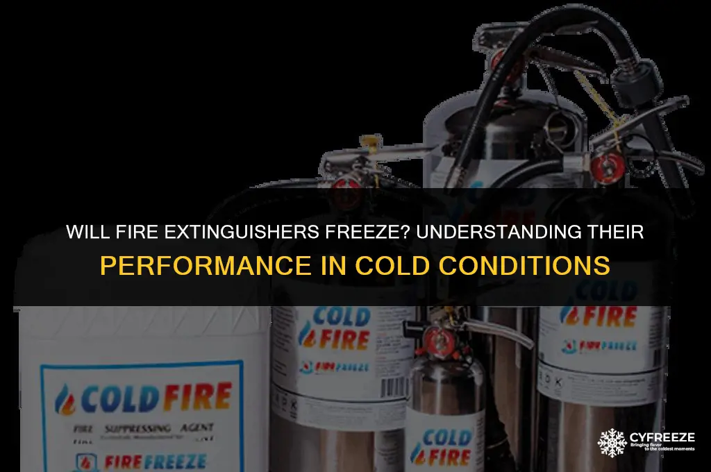 will fire extinguishers freeze