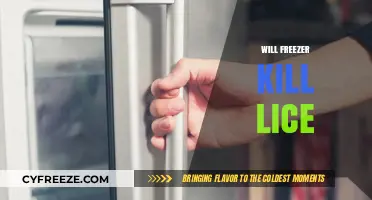 Deep Freeze: Can Your Freezer Be the Ultimate Lice Assassin?