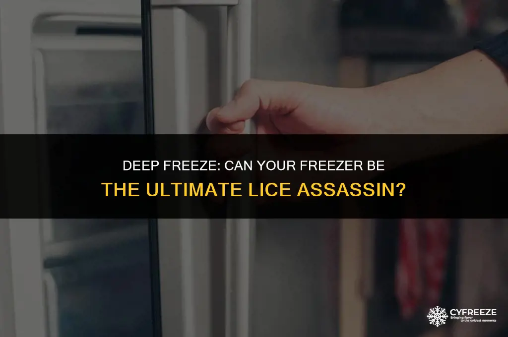 will freezer kill lice