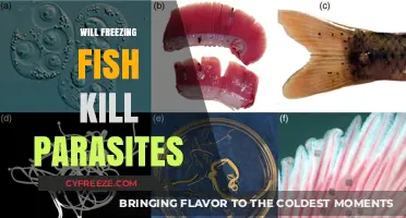 Does Freezing Fish Eliminate Parasites? A Comprehensive Guide