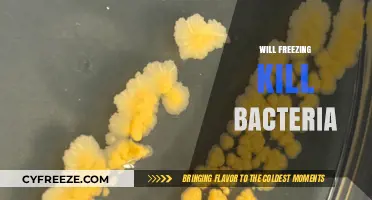 Chilling Truth: Can Freezing Temperatures Eliminate Bacteria?