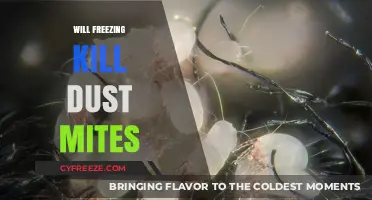 Deep Freeze: Can Cold Temperatures Eliminate Dust Mites?