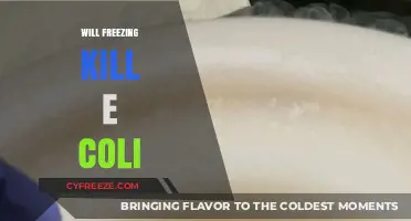 Chilling Truth: Can Freezing Temperatures Eliminate E. Coli?