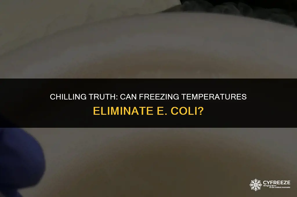 will freezing kill e coli
