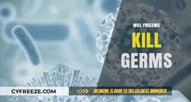 The Cold Truth: Does Freezing Really Kill Germs?